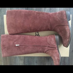 UGG Daley Tall Boot- Mahogany Suede